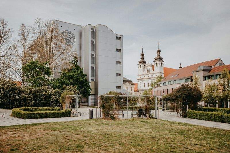 Southern Star Academy - Image 12